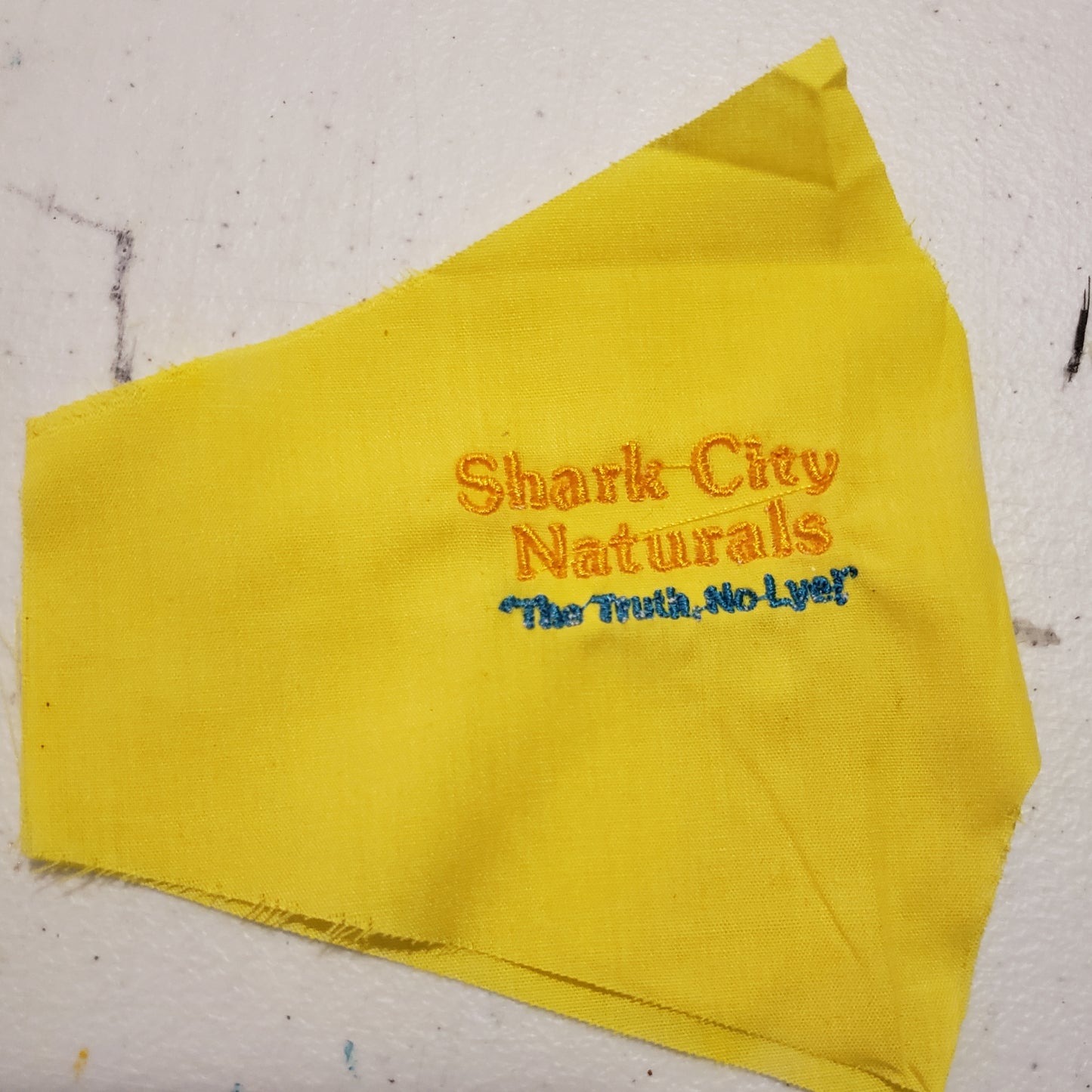 Embroidered Face Mask With Filter